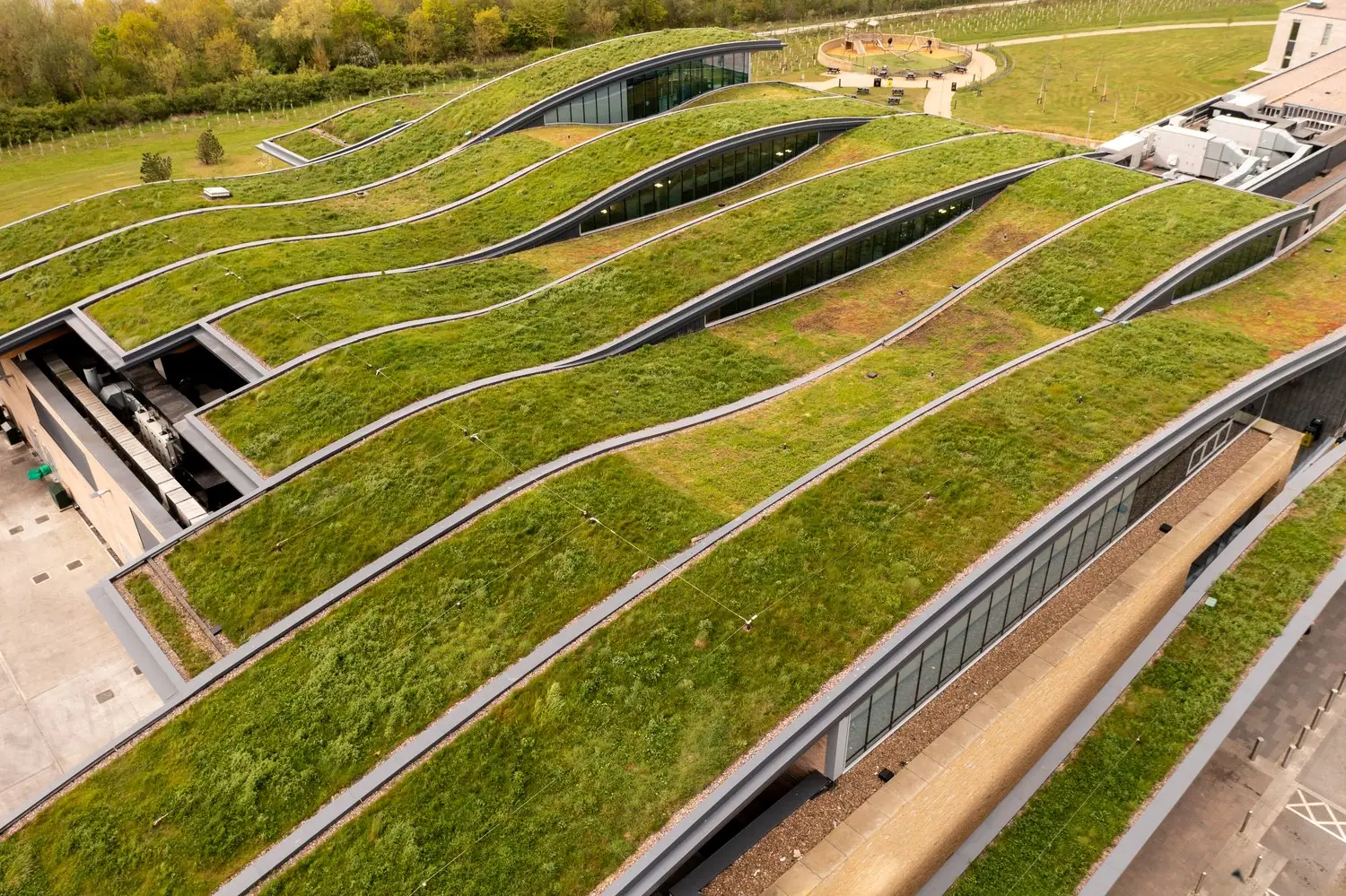 Zielone dachy w architekturze miejskiej: rozwiązania techniczne